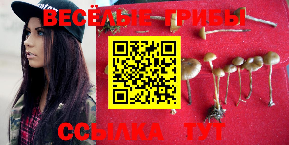 Псилоцибиновые грибы мухоморы  Вход с VPN  Галлюциногенные грибы мицелий  Дзержинск 